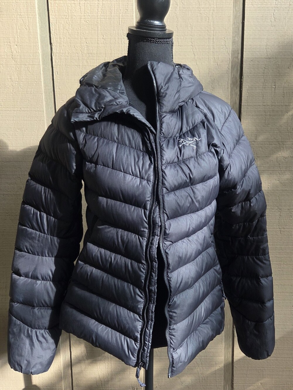 Arc'teryx Women's Thorium AR Down Hoodie